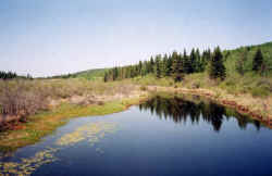 Barrier Valley