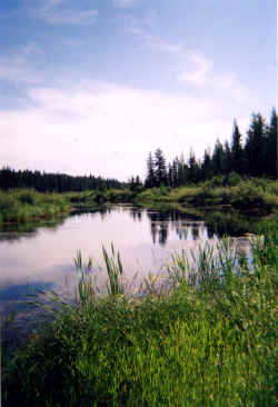 Barrier Valley 2004