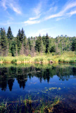 Barrier Valley 2004