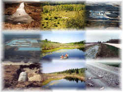 Left column - pollution from hog factories.  Middle column Barrier Valley.  Right column, more pollution